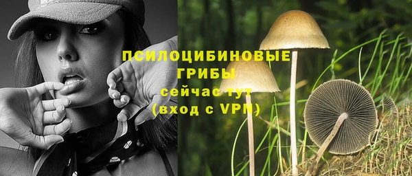 марки nbome Лиски