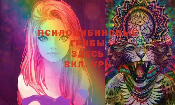 кокс Липки