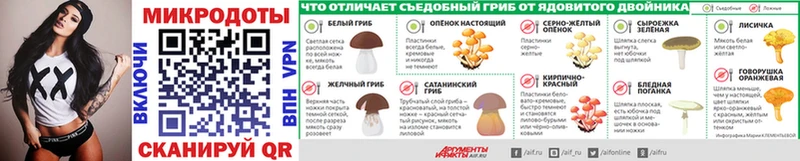 Псилоцибиновые грибы Psilocybine cubensis купить сайты Эртиль